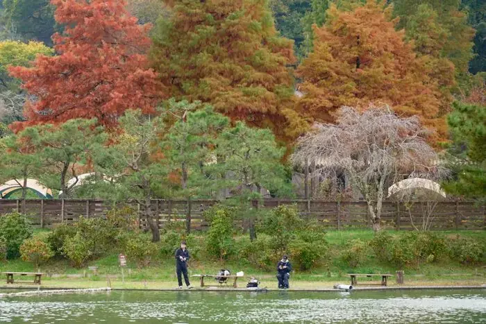 秋川流域花火大会の様子