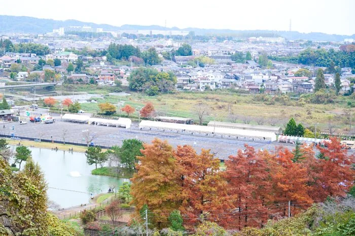 秋川流域花火大会の様子