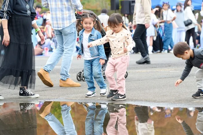 秋川流域花火大会の様子