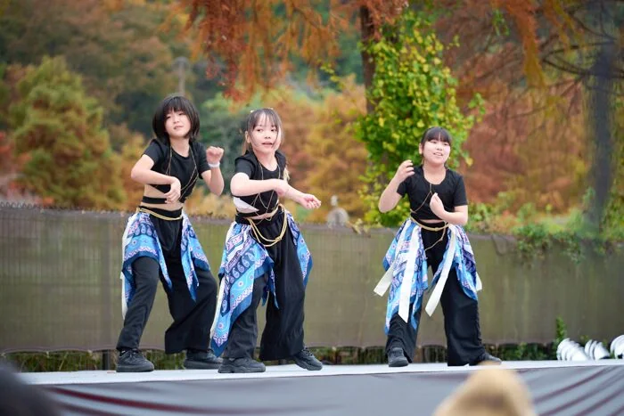 秋川流域花火大会の様子