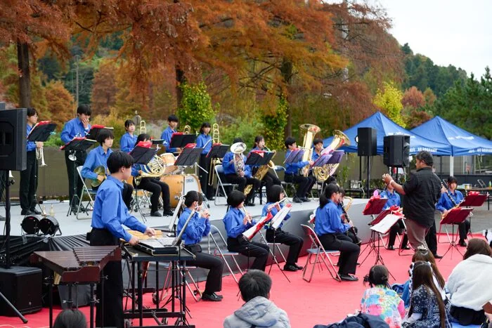 秋川流域花火大会の様子