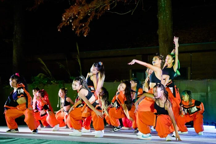 秋川流域花火大会の様子
