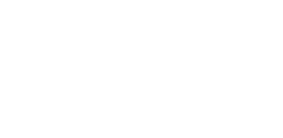 秋川流域花火大会